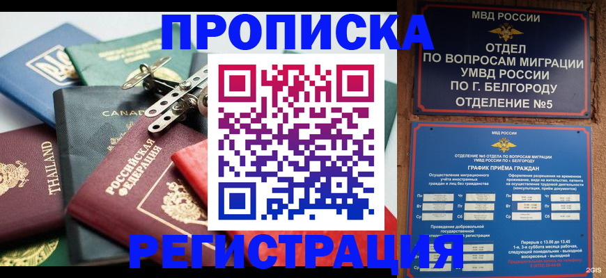 временная регистрация недорого в Дубне